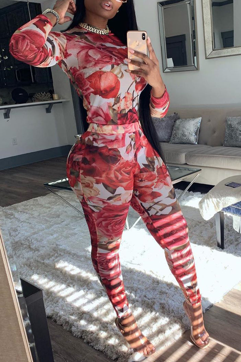 Plus Size Floral Print Two Piece Sets