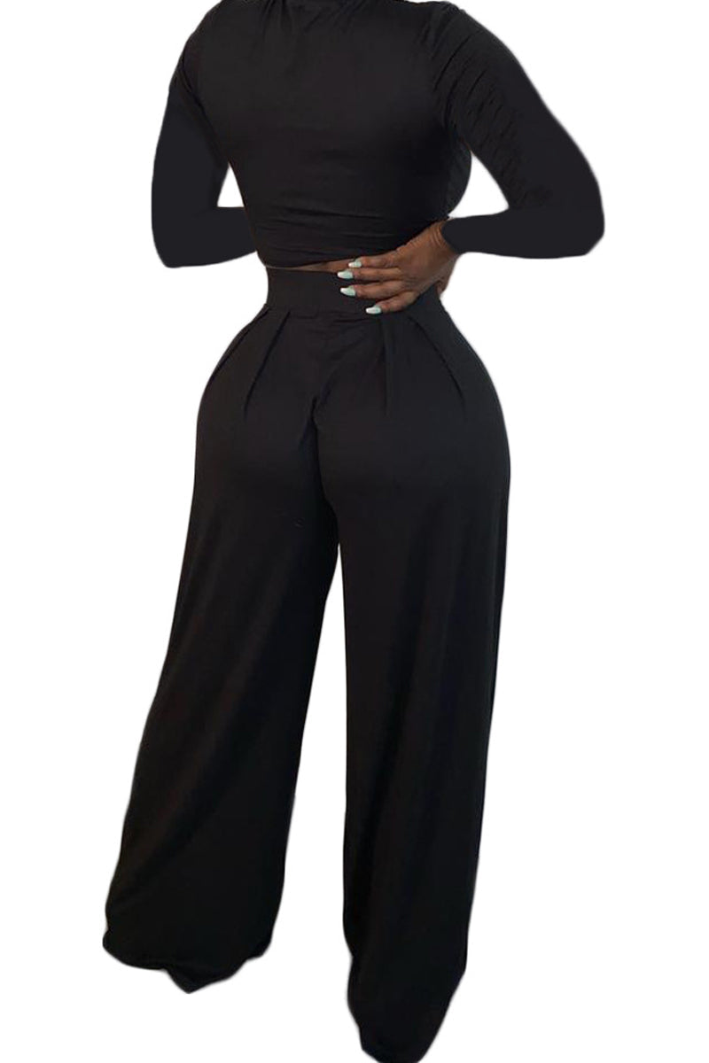 Pleated Solid Color Long Sleeve Top & Pants