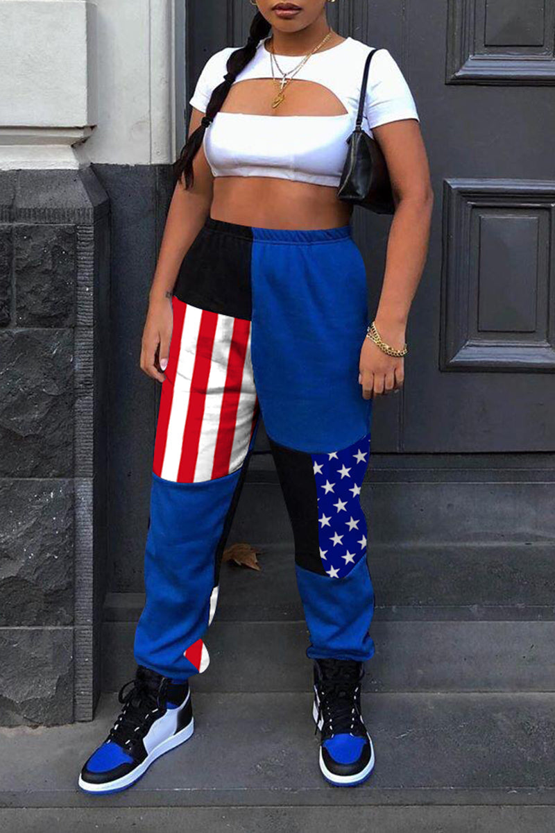Plus Size Color Block Casual Pants