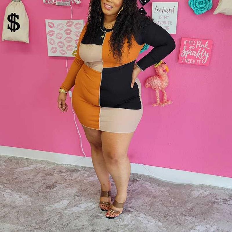 Plus Size Color Block Bodycon Mini Dress