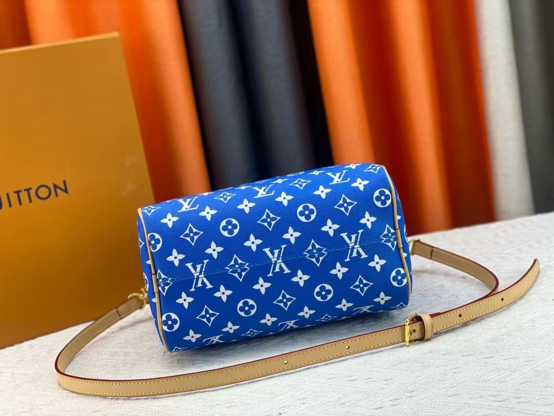 Luxury Edition Bags L-V-2.19