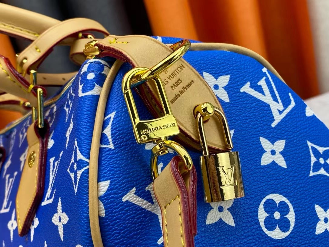 Luxury Edition Bags L-V-2.19