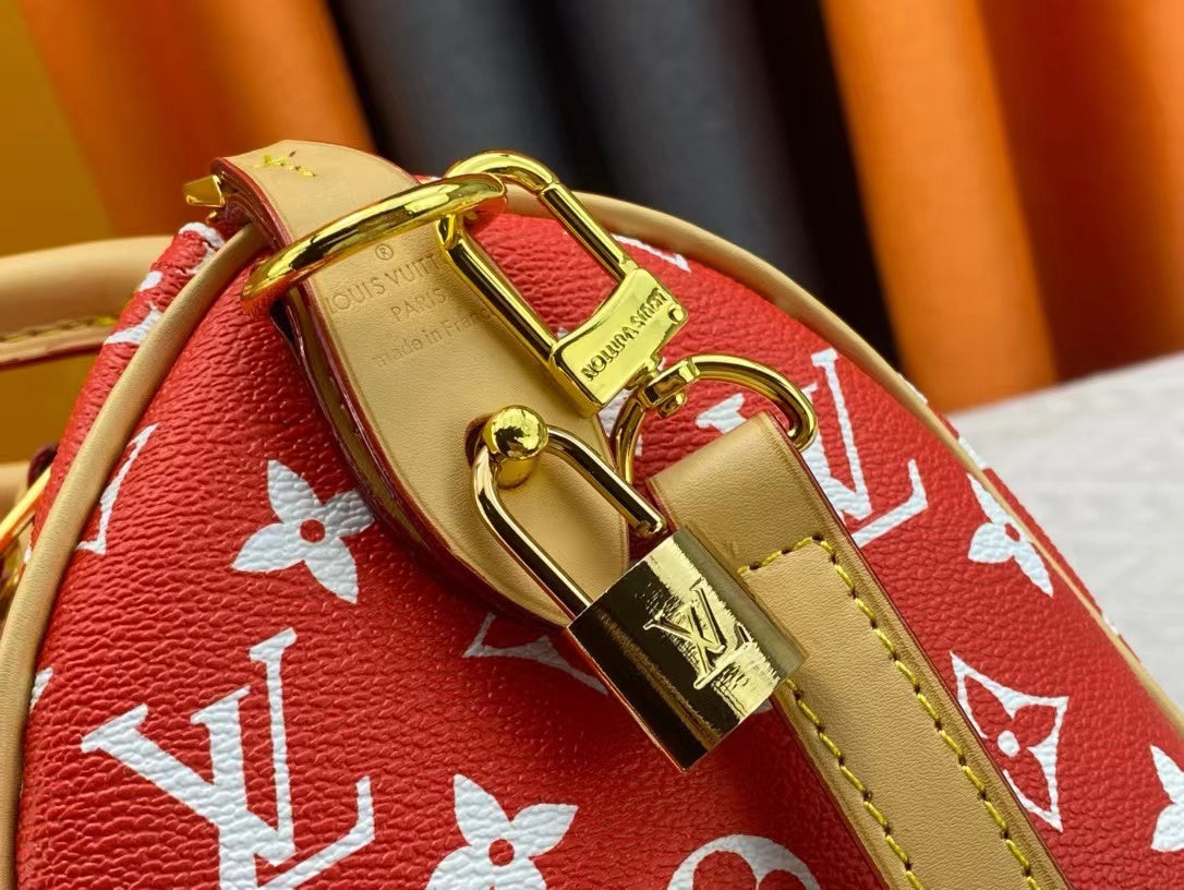 Luxury Edition Bags L-V-2.19