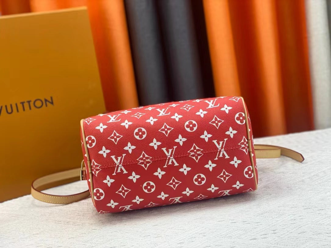 Luxury Edition Bags L-V-2.19