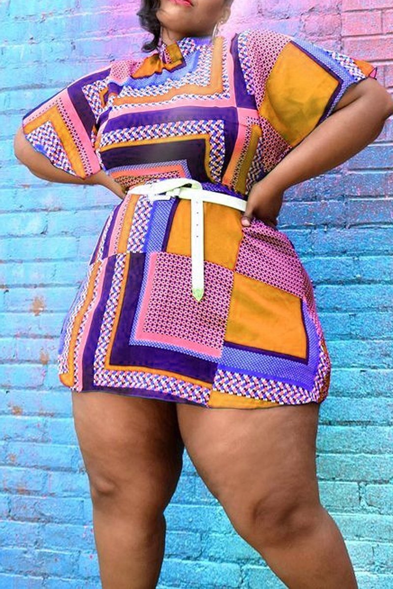Plus Size Color Block Loose Flared Sleeve Mini Dress