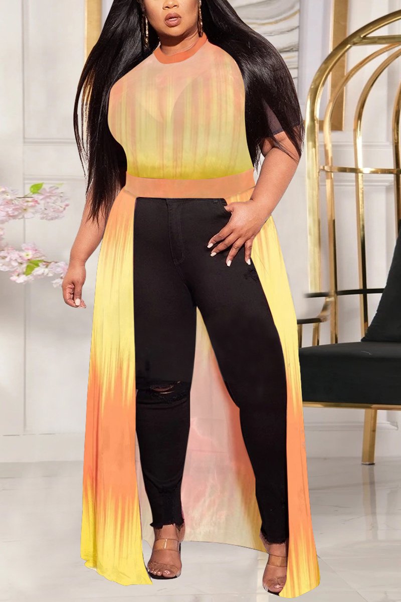 Plus Size Asymmetric Hem See-through Dress