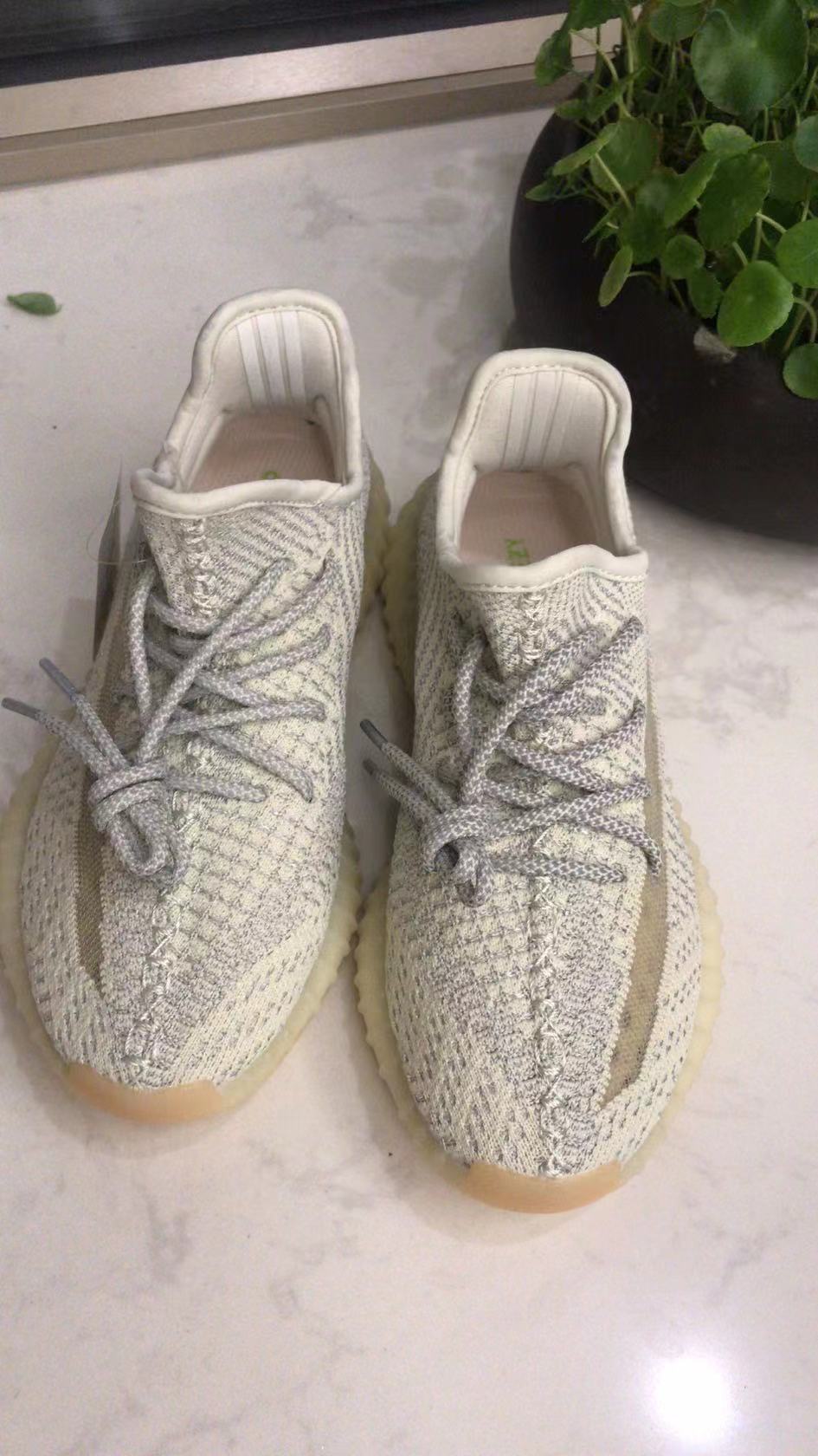 sneaker shoes Ash Pearl GY7658