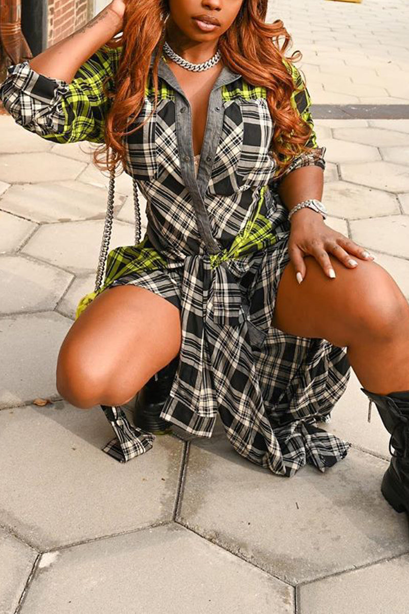 Plus Size Asymmetric Hem Plaid Print Dress