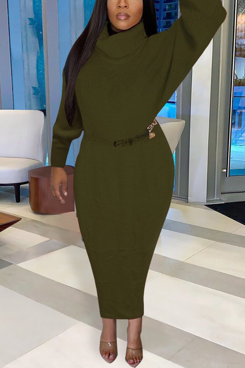 Plus Size Batwing Sleeve Dress Without Belt