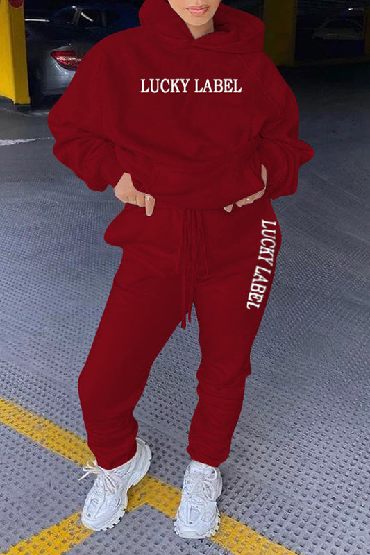 Plus Size Embroidered Hooded Collar Two Piece Sets
