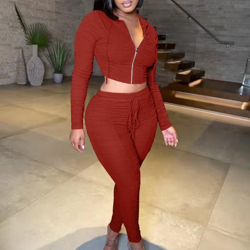 Pleated Hooded Collar Drawstring Two Piece Sets
